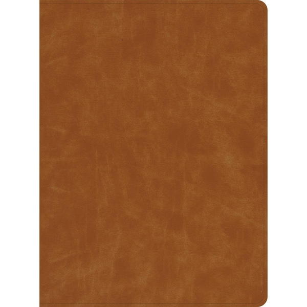 B&H Publishing & Holman Bible Butterscotch Genuine Leather Indexed CSB Lifeway Womens Bible - 258848