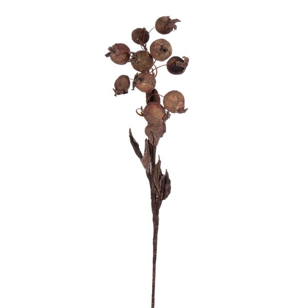 Vickerman 18 in. Artificial Dried Fruit Spray, Rust - 3 Piece Per Bag - FXT223117