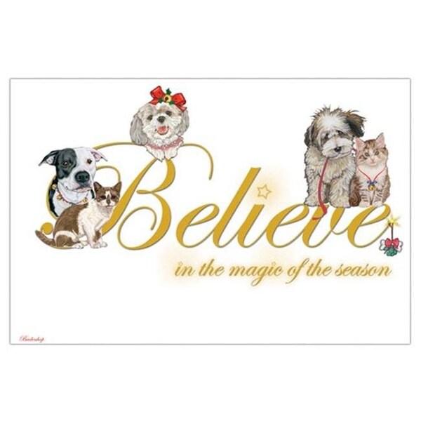 Pipsqueak Productions Pipsqueak Productions C590 Believe Mix Dog with Cat Christmas Boxed Cards - Pack of 10 - C590