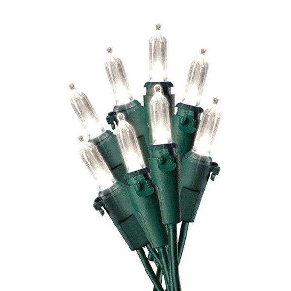 Goldengifts G8234915 LED Twinkling Mini Light Set  100 White - GO2512738