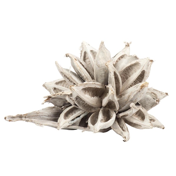 Vickerman 12-16 in. White Wash Star Pods - 2XL - H2STAX900