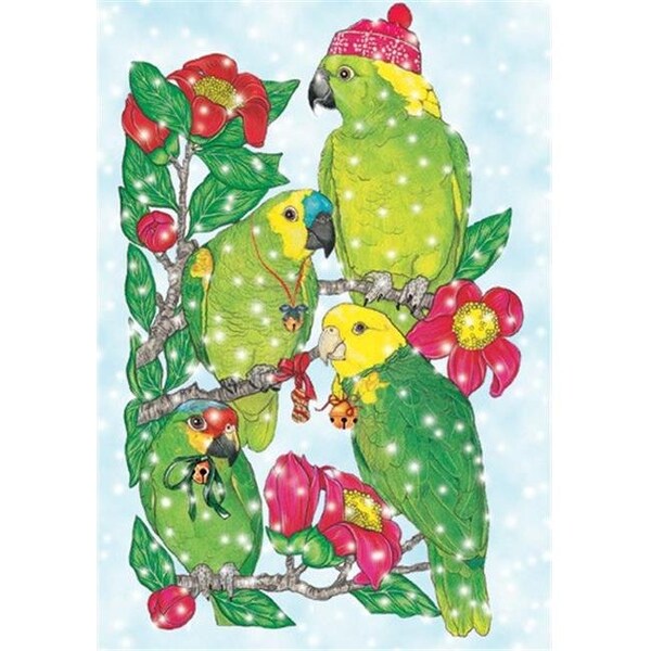 Pipsqueak Productions Pipsqueak Productions C872 Amazon Holiday Bird Christmas Boxed Cards - Pack of 10 - C872