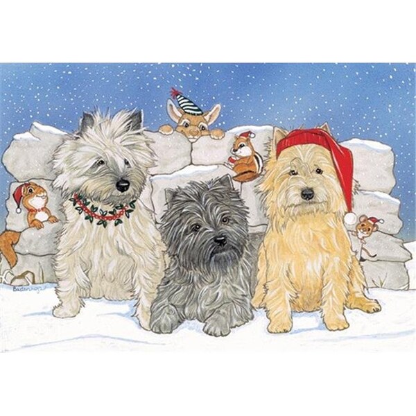 Pipsqueak Productions Pipsqueak Productions C933 Holiday Boxed Cards- Cairn Terrier - C933