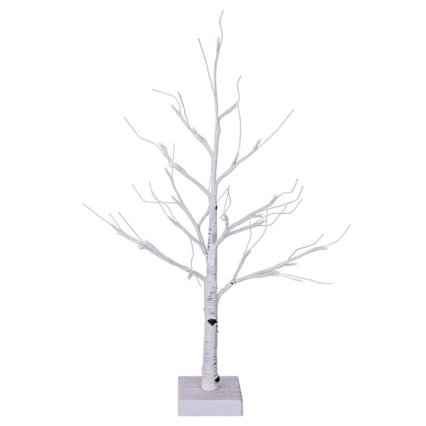 Vickerman 2 ft. 24 Warm White LED Battery Operated Birch Twig Tree, White - X221020