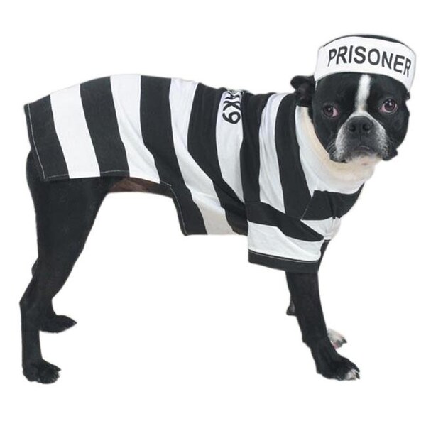 Casual Canine Casual Canine ZW894 24 Prison Pooch Costume XL - ZW894 24