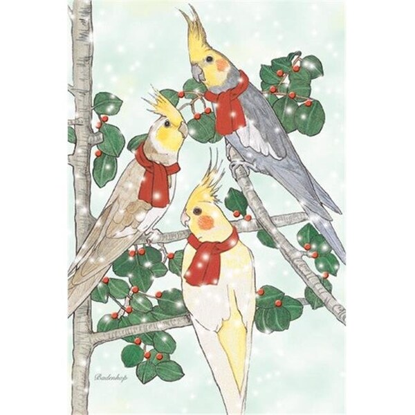 Pipsqueak Productions Pipsqueak Productions C932 Cockatiel Holiday Bird Christmas Boxed Cards - Pack of 10 - C932