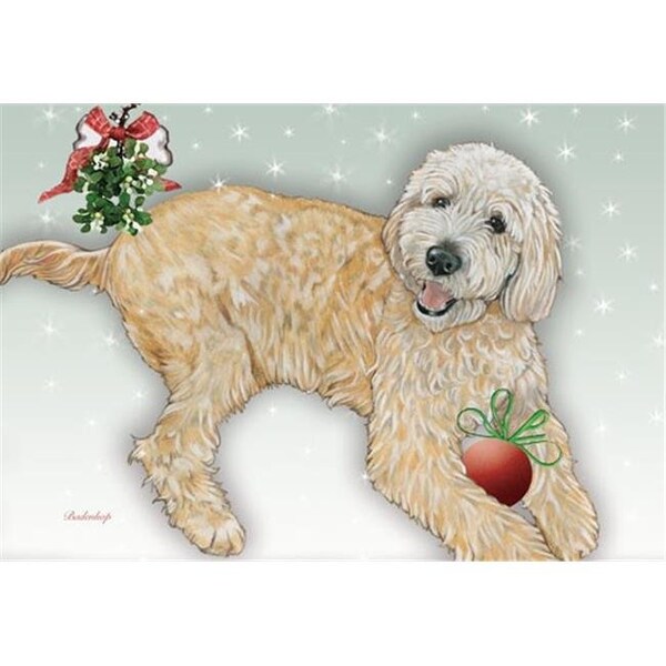 Pipsqueak Productions Pipsqueak Productions C576 Doodle Christmas Boxed Cards - Pack of 10 - C576