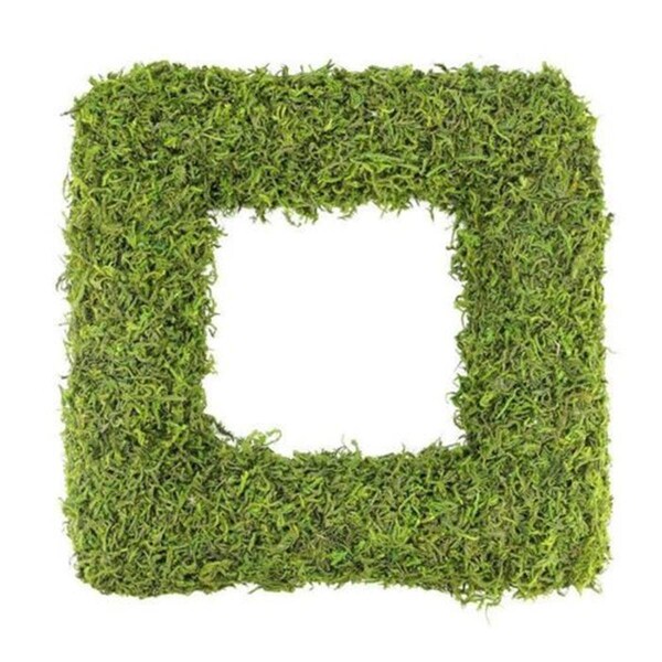 Vickerman 15.5 in. Reindeer Moss Square Wreath - Dark Green - FQ170102