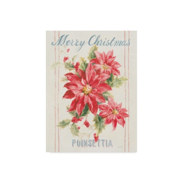 Trademark Fine Art Danhui Nai 'Floursack Holiday Iii' Canvas Art, 24x32 - WAP09069-C2432GG