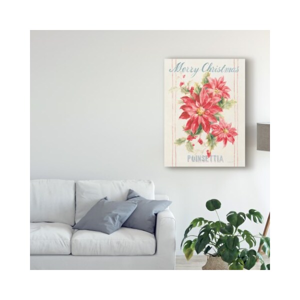 Trademark Fine Art Danhui Nai 'Floursack Holiday Iii' Canvas Art, 24x32 - WAP09069-C2432GG
