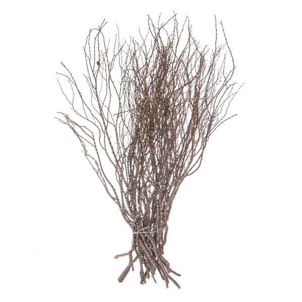 Vickerman 36 in. Tigerwood Stems Bundle - H4TIW000