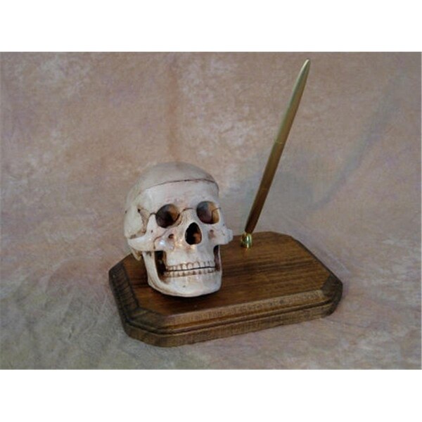 Perfectpretend Skull Pen Holder on wood Plaque - PE1413030