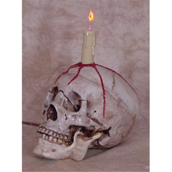 Perfectpretend Skull Display  Blood Skull with candle - PE1413034