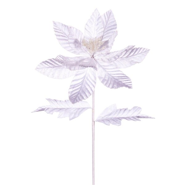 Vickerman 22 in. Velvet Glitter Trim Poinsettia Spray, White - 6 per Bag - RG223111