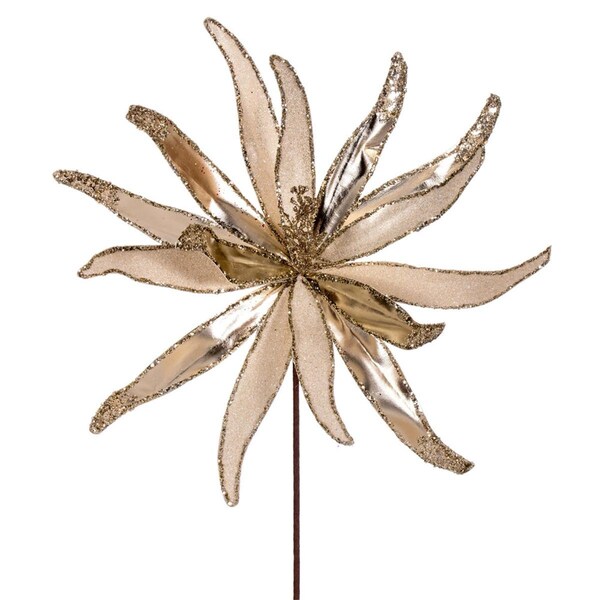 Vickerman 24 in. Metallic Frosted Glitter Papyrus Spray, Champagne, 2PK - RG221738