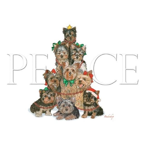 Pipsqueak Productions Pipsqueak Productions C544 Holiday Boxed Cards- Yorkshire Terriers - C544