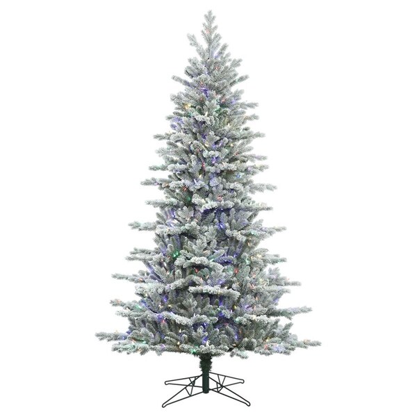 Vickerman Frosted Eastern Frasier Christmas Tree with Multi-Colored LED Lights, 10 ft. x 71 in. - G160887LED