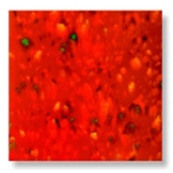 Sax Non-Toxic Colorburst True Flow Glaze1 Pt. - Firecracker Red - 451484