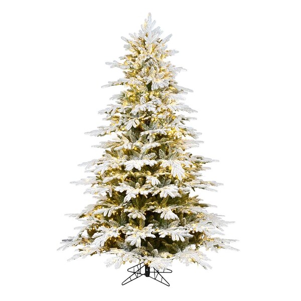 Vickerman 5.5 ft. x 52 in. Flock Kamas Fraser Christmas Tree with 3 mm 1000 Warm White LED Light - K185456LED
