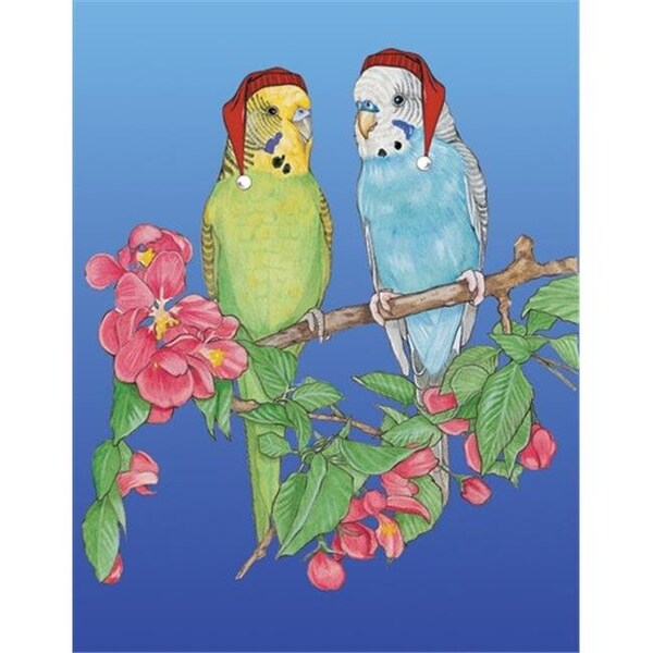 Pipsqueak Productions Pipsqueak Productions C973 Parakeet Holiday Bird Christmas Boxed Cards - Pack of 10 - C973