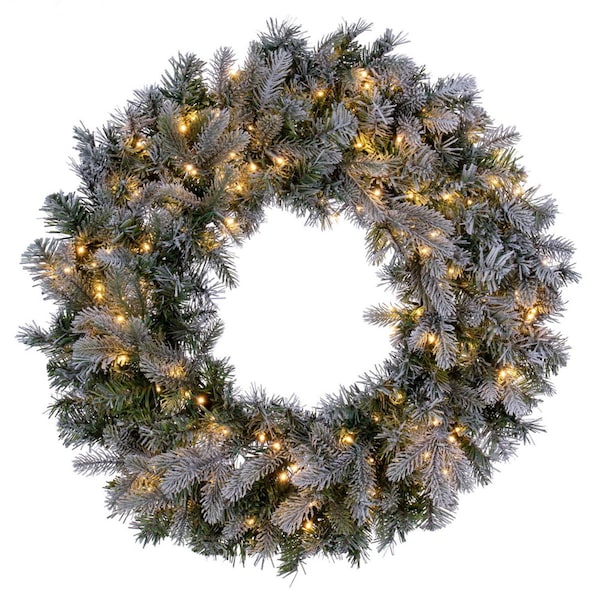 Vickerman 24 in. Frosted Douglas DuraLit 50 Warm White Wreath, Green - K224725LED