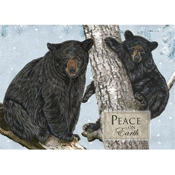 Pipsqueak Productions Pipsqueak Productions C719 Holiday Bears Wildlife Christmas Boxed Cards - Pack of 10 - C719