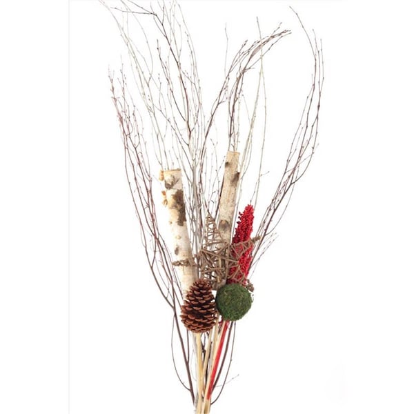 Propiedad Winter Birch Indoor Christmas Decor Multi Color, 10PK - PR2741992