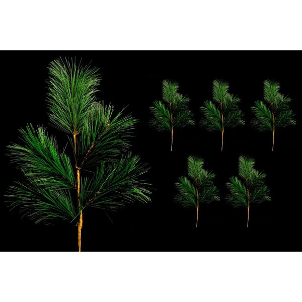 Queens Of Christmas 21 in. Pine Pick for Christmas Decoration, 5PK - PCK21-PN-GR-5PK