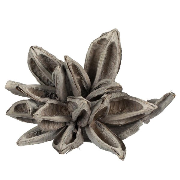 Vickerman 6-11 in. White Wash Star Pod - H2STA900