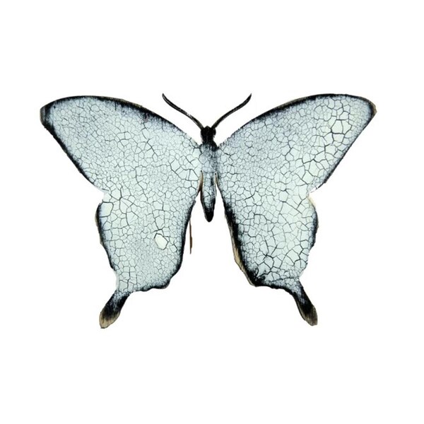 Designocracy Butterfly Wooden Magnet - 99718M