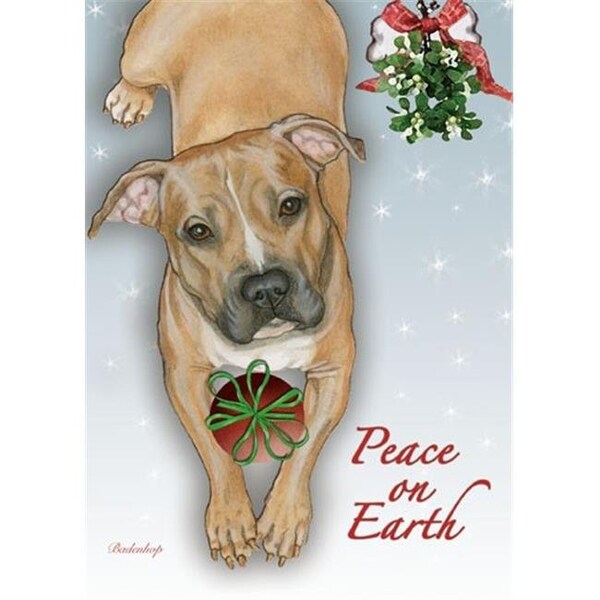 Pipsqueak Productions Pipsqueak Productions C582 Pit Bull Mistletoe Christmas Boxed Cards - Pack of 10 - C582