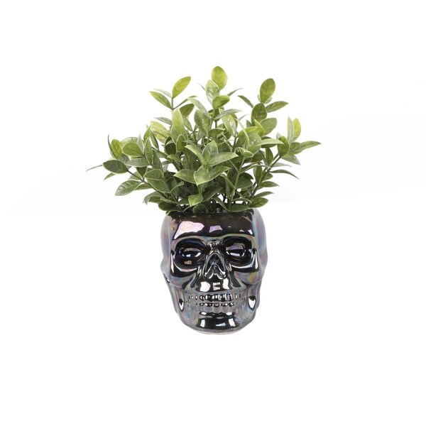 Truco Succ in Metalic Iridescent Skull Ceramic 3.75X4.5X4 - TR2969255