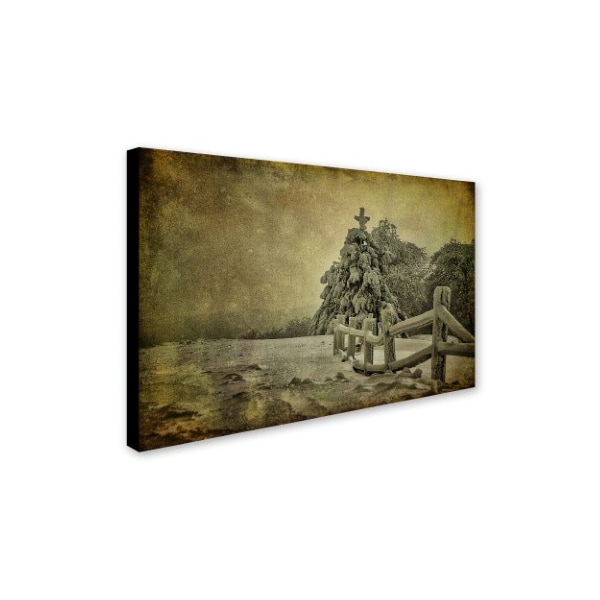 Trademark Fine Art Lois Bryan 'Oh Christmas Tree' Canvas Art, 16x24 - LBR0272-C1624GG
