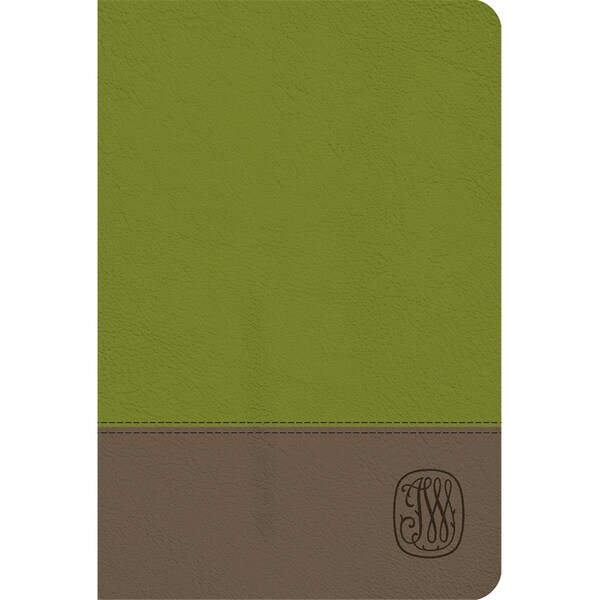 Ggw Presents NRSV Wesley Study Bible-Sage Thicket Decotone - GG3315941