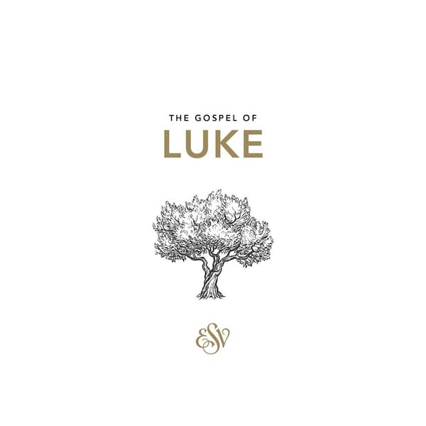 Gb Gifts Lukes Gospel ESV Cards -20PK - GB3324791