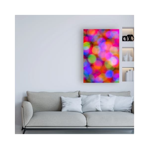Trademark Fine Art Darren White Photography 'Holiday Lights' Canvas Art, 16x24 - ALI46682-C1624GG