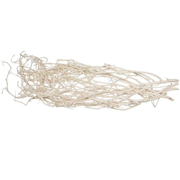 Vickerman 32 in. Natural Botanicals Begun Tree, Bleached - 5 Piece per Pack - H7BEG999