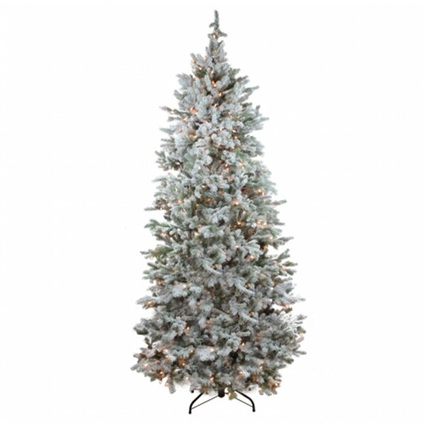 Northlight Seasonal Pre-Lit Flocked Slim Colorado Spruce Artificial Christmas Tree - Clear Lights - 31752276