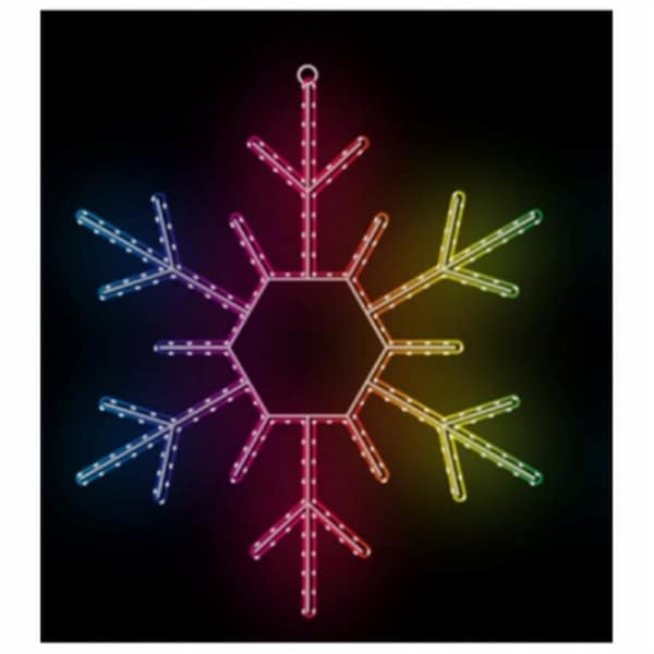 Hk Star Bright Lighting 24 in. Holiday Wonderland Video Snowflake Light - 105252