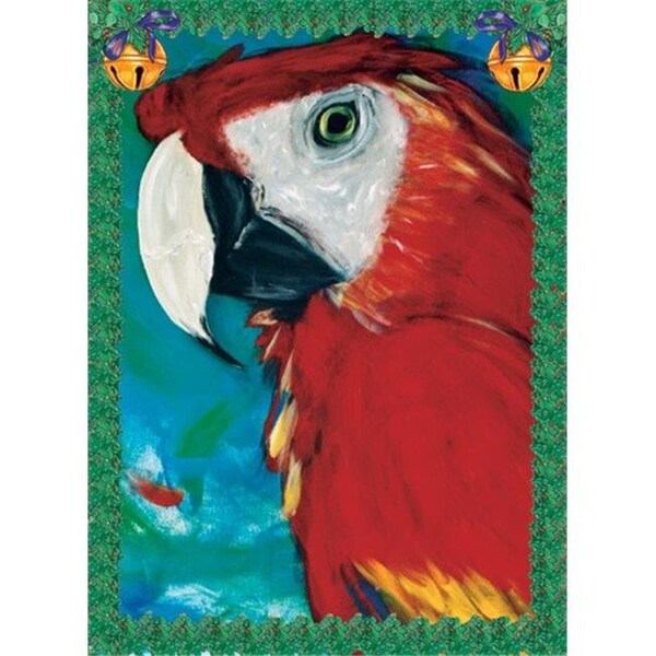Pipsqueak Productions Pipsqueak Productions C879 Macaw Portrait Holiday Bird Christmas Boxed Cards - Pack of 10 - C879