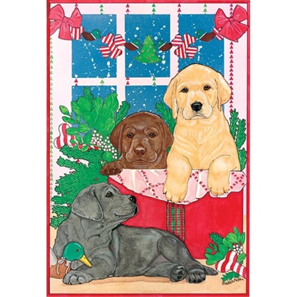 Pipsqueak Productions Holiday Boxed Cards- Labrador Retrievers Three Colors - C817