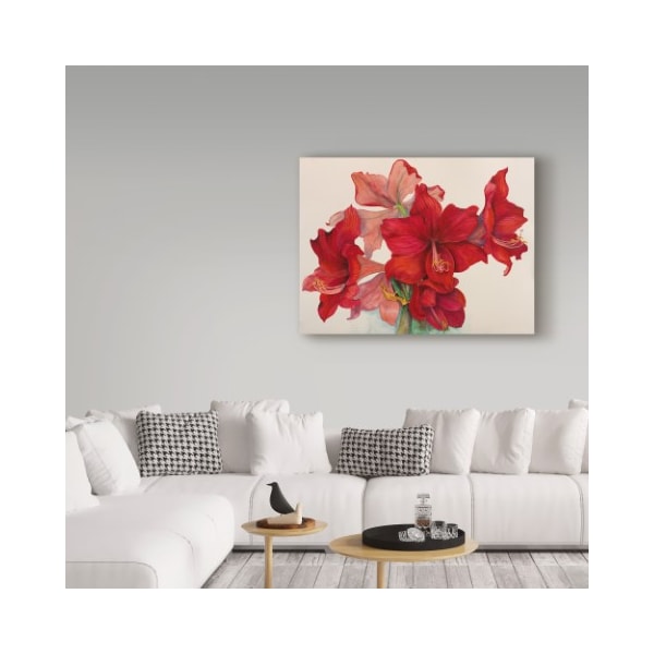 Trademark Fine Art Joanne Porter 'Holiday Amaryllis' Canvas Art, 35x47 - ALI30453-C3547GG