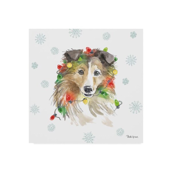 Trademark Fine Art Beth Grove 'Holiday Paws Ix' Canvas Art, 18x18 - WAP09385-C1818GG
