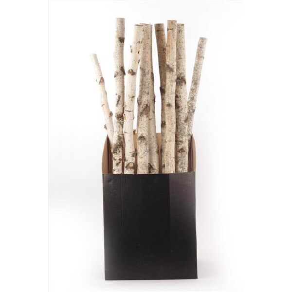 Propiedad Indoor Christmas Decor  Natural, 10PK - PR2742830