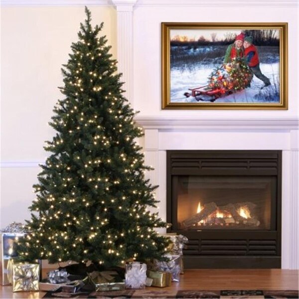 Vickerman 9.5 ft. x 54 in. Camdon Fir Slim Tree 2350Tips - A860885