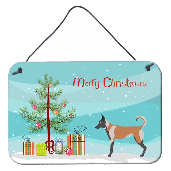 Carolines Treasures Malinois Christmas Wall or Door Hanging Prints - BB8461DS812