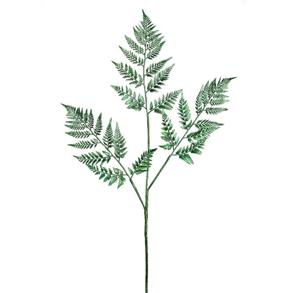 Vickerman 42 in. Green Shiny Fern Spray, 2PK - RX192904