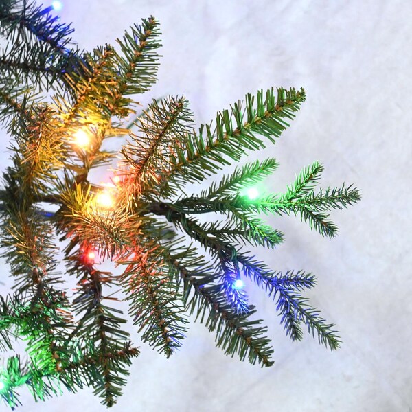 Celebrations Celebrations 1-2 Tree 7 ft. Slim LED 350 ct Majestic Fraser Fir Color Changing Christmas Tree - TSMF7CCA