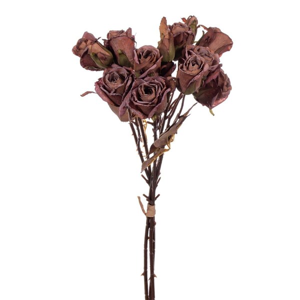 Vickerman 16.5 in. Dried Rose Bundle Spray, Light Orange - FM223219