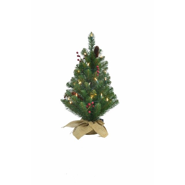 Celebrations Celebrations 2 ft. Full Incandescent 35 ct Table Top Christmas Tree - TCWT20P00A